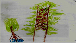 Picture4